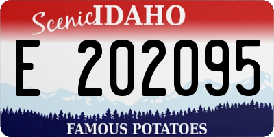 ID license plate E202095