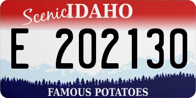 ID license plate E202130