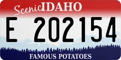 ID license plate E202154
