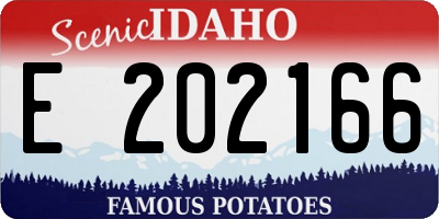 ID license plate E202166