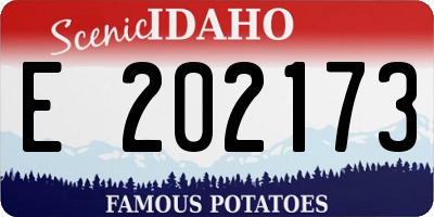ID license plate E202173
