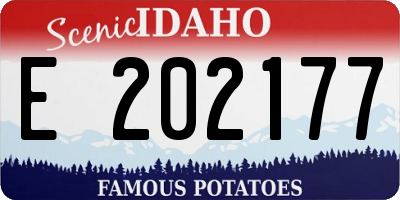 ID license plate E202177
