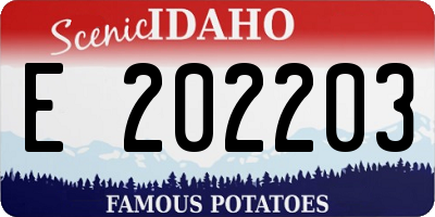 ID license plate E202203