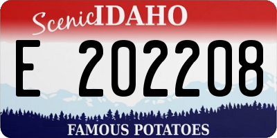 ID license plate E202208