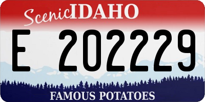 ID license plate E202229