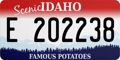 ID license plate E202238
