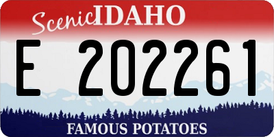 ID license plate E202261
