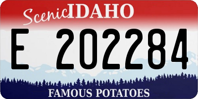 ID license plate E202284