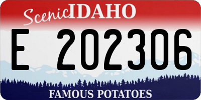 ID license plate E202306