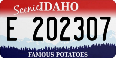 ID license plate E202307