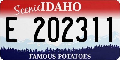 ID license plate E202311