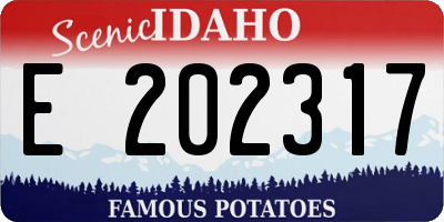 ID license plate E202317