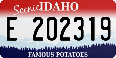ID license plate E202319