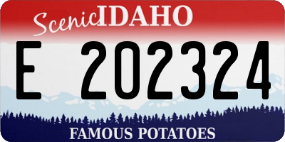 ID license plate E202324