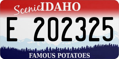 ID license plate E202325