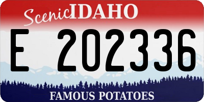 ID license plate E202336