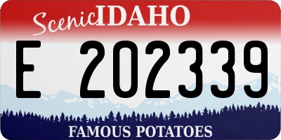 ID license plate E202339