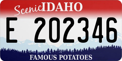 ID license plate E202346