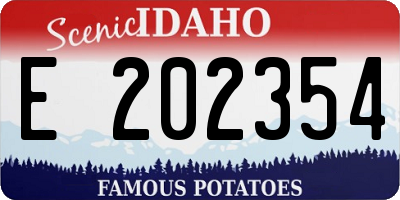 ID license plate E202354