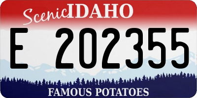 ID license plate E202355