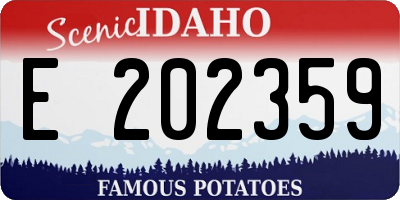 ID license plate E202359