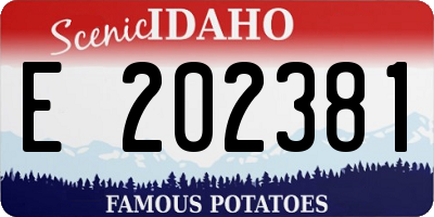 ID license plate E202381