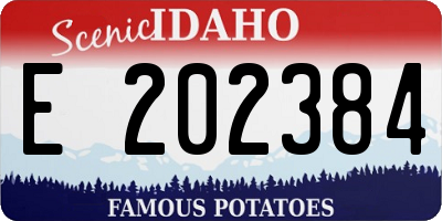 ID license plate E202384