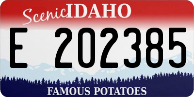 ID license plate E202385