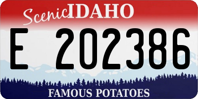 ID license plate E202386