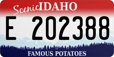 ID license plate E202388