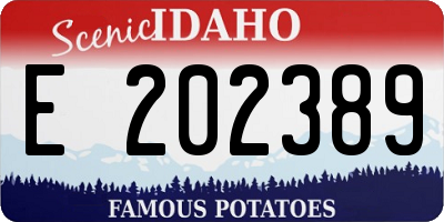 ID license plate E202389