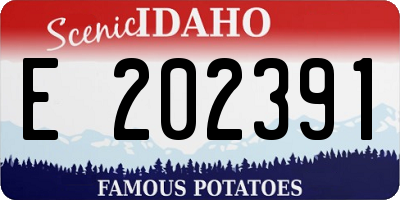 ID license plate E202391
