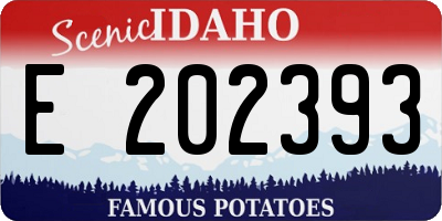 ID license plate E202393