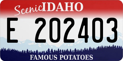 ID license plate E202403