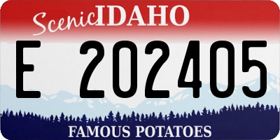 ID license plate E202405