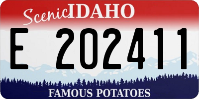 ID license plate E202411