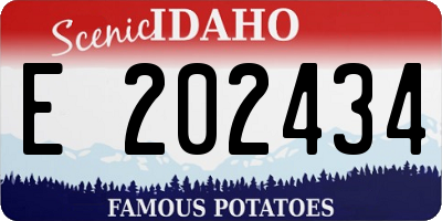 ID license plate E202434