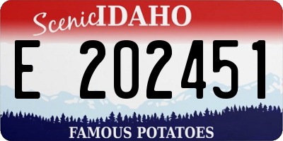 ID license plate E202451