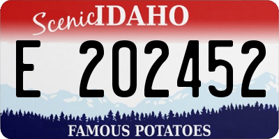 ID license plate E202452