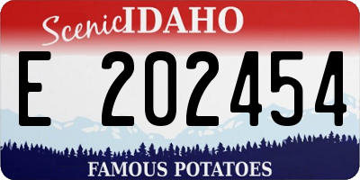 ID license plate E202454