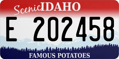 ID license plate E202458