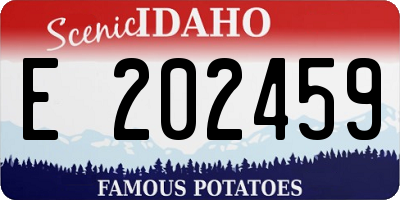 ID license plate E202459