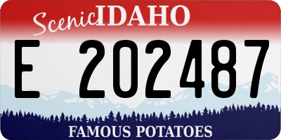 ID license plate E202487