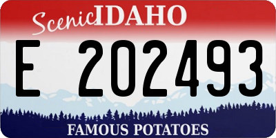 ID license plate E202493