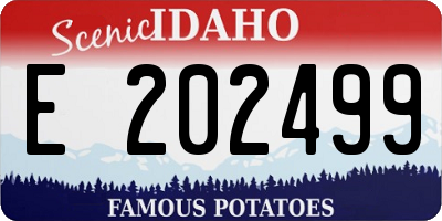 ID license plate E202499