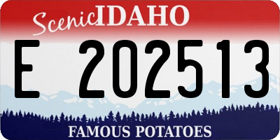 ID license plate E202513