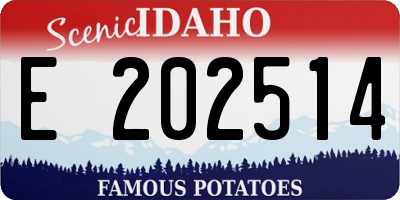ID license plate E202514