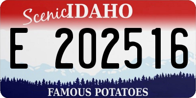 ID license plate E202516