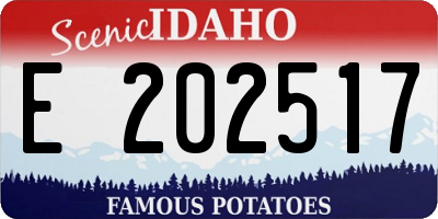 ID license plate E202517