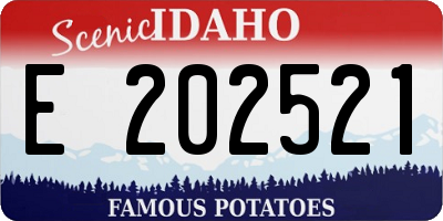 ID license plate E202521